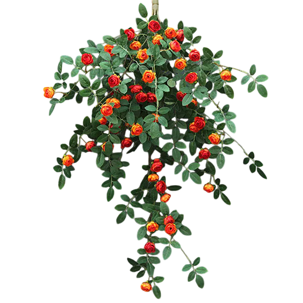 Rosa colgante Naranja