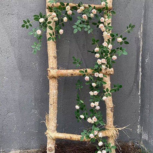 [DT6007R] Flor artificial rosa trepadora Rosado