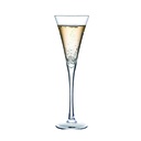 Copa champagne V 150ML Set x 6