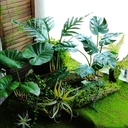 Planta artificial filodendro